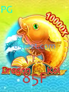 Explorando o Mundo de DragonKoi: Um Guia Completo